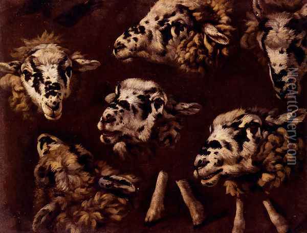 A Study Of Heads Of Sheep Oil Painting - Johann Melchior Roos