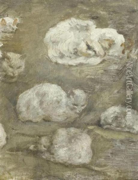 Study Of Cats. Oil Painting - Theophile Alexandre Steinlen
