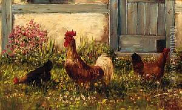 Chickens By A Barn Oil Painting - Alfred Schonian