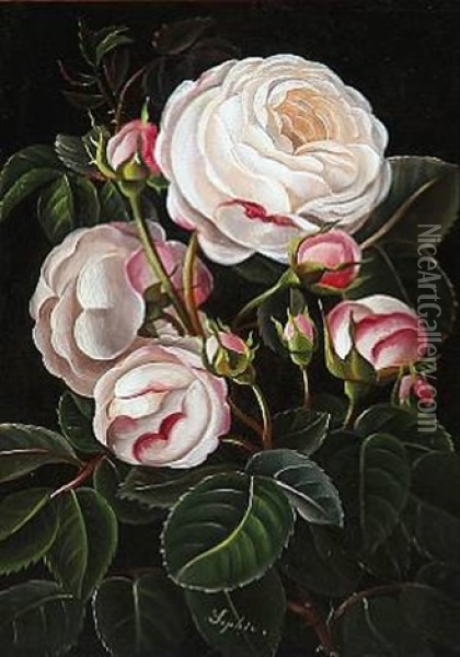Pink Roses Oil Painting - Sophie Holten