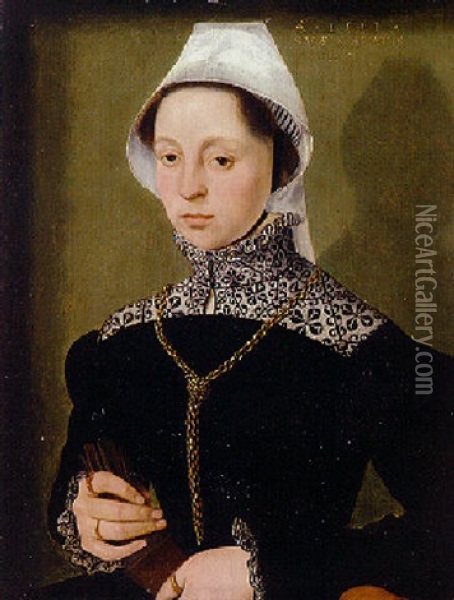 Portrait Of A Lady Wearing A Black Dress, A White Linen Cap And A Gold Chain Oil Painting -  Master of the 1540s
