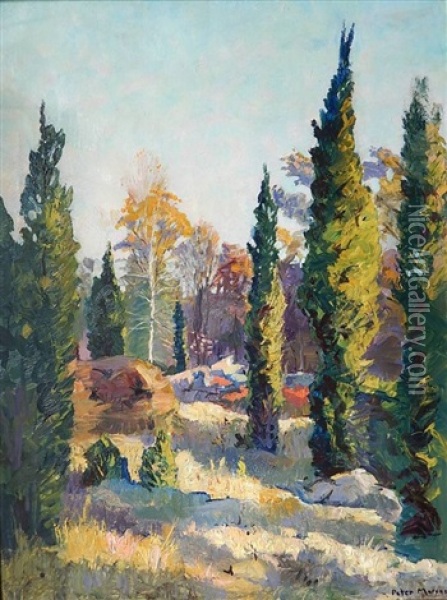 Landscape With Pine Trees Oil Painting - Peter Marcus
