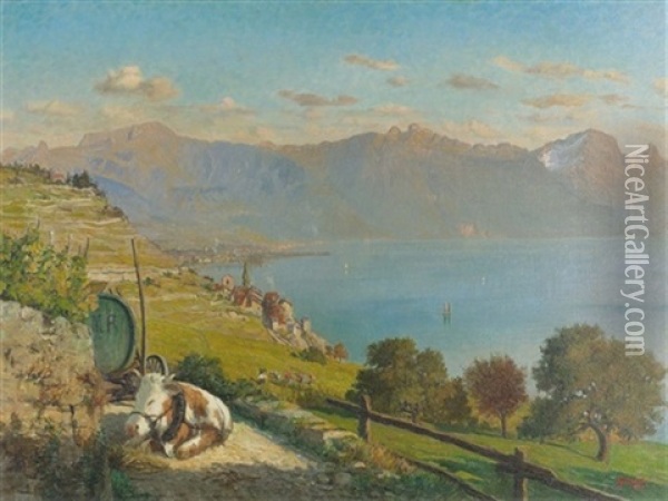 Blick Auf St-saphorin Und Den Genfersee Oil Painting - Vincent Gilliand