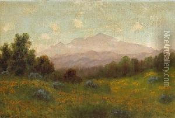 Poppies With Mt. Tamalpais In Thedistance Oil Painting - Charles Robinson