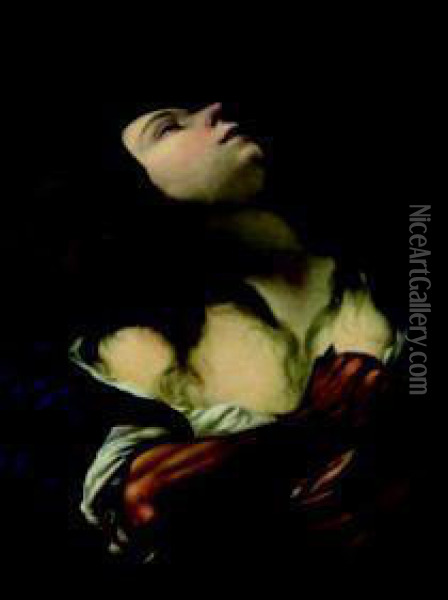 Martirio Di Sant'agnese Oil Painting - Francesco Cairo