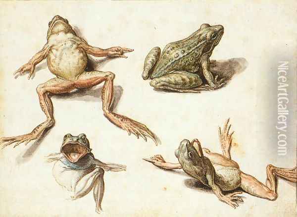 Four Studies of Frogs Oil Painting - Jacob de II Gheyn