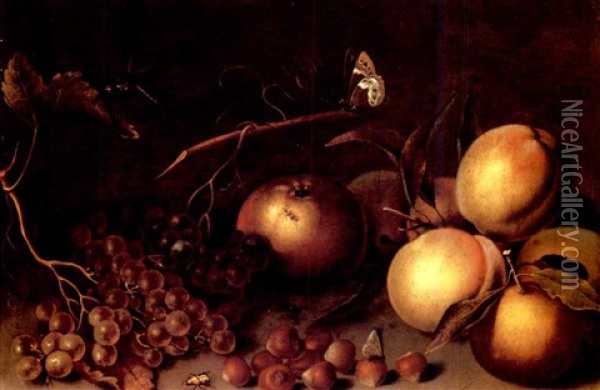 Peaches, An Orange, An Apple, Grapes, And Nuts With Insects On A Stone Ledge Oil Painting - Balthasar Van Der Ast