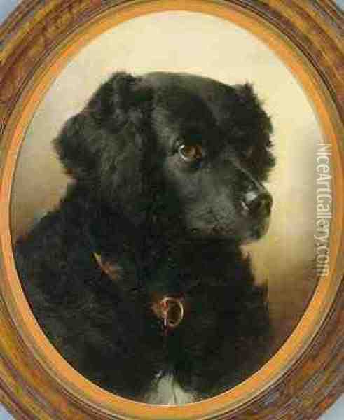 Black Dog Oil Painting - Carl Reichert