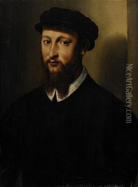 Portrait Of A Man Oil Painting - Francesco del Rossi (Salviati)