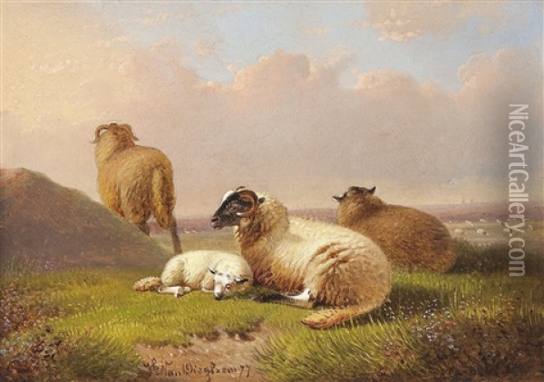 Ruhende Schafe Oil Painting - Joseph Van Dieghem