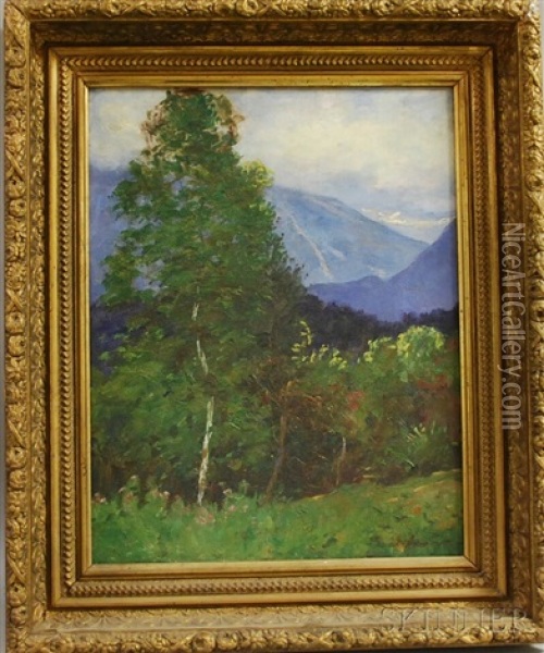 Summer Landscape With Franconia Notch In The Distance Oil Painting - Daniel Santry