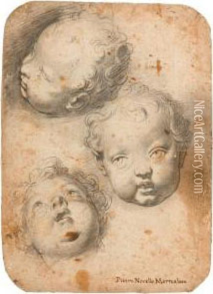 Study Of Three Putto Heads. Oil Painting - Pietro Novelli Il Monrealese