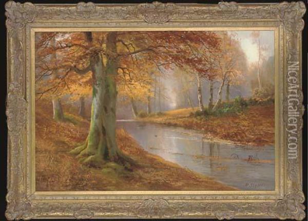 Autumnal Beeches By A Tranquil River Oil Painting - Daniel Sherrin