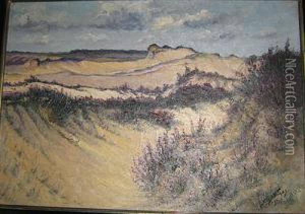 Gezicht Op De Duinen.
 Vue Sur Les Dunes Oil Painting - Franz De Vadder