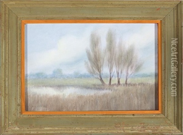 Willow Trees In The Marshes - Morning Oil Painting - Alexander John Drysdale