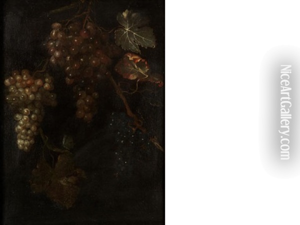A Vine Of Grapes Oil Painting - Barend van der Meer
