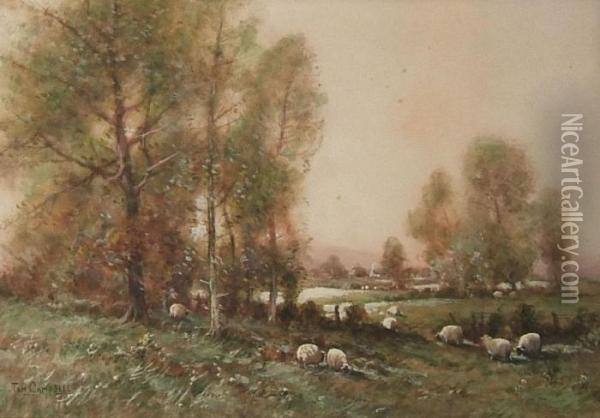 A Rural Landscape, Sheep Grazing By A Copse - Oil Painting - Thomas, Tom Campbell