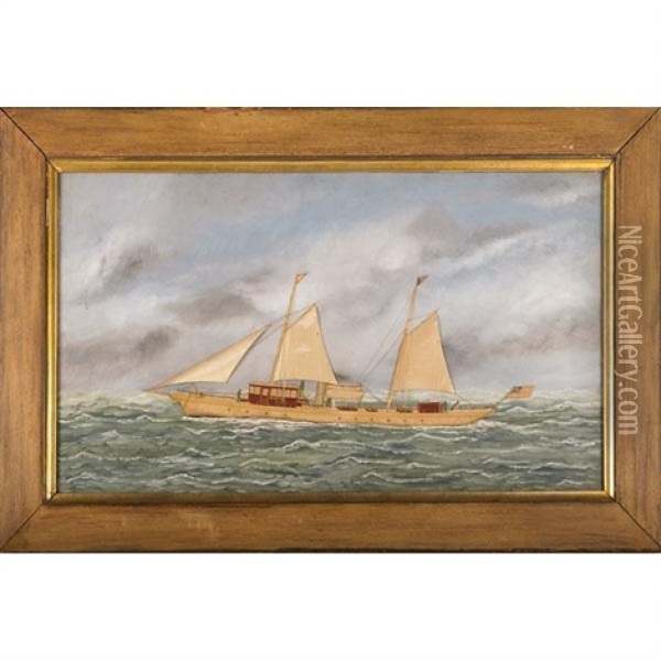 Steam-sail Racing Yacht Mayita Oil Painting - Thomas H. Willis