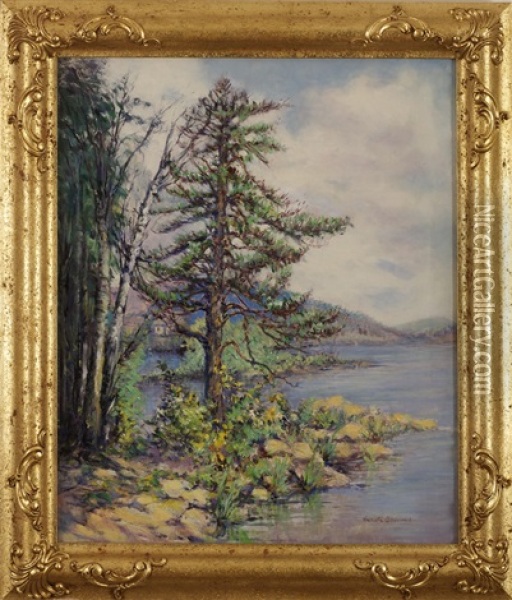 Pine Tree And Cottage Along A Coast Oil Painting - Harriette Bowdoin