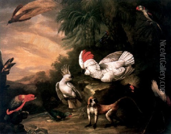 A Bird Of Paradise, A Lesser Sulphar Crested Cockatoo And Other Birds, And A Gibbon In A Tropical Paradise Oil Painting - Jakob Bogdani