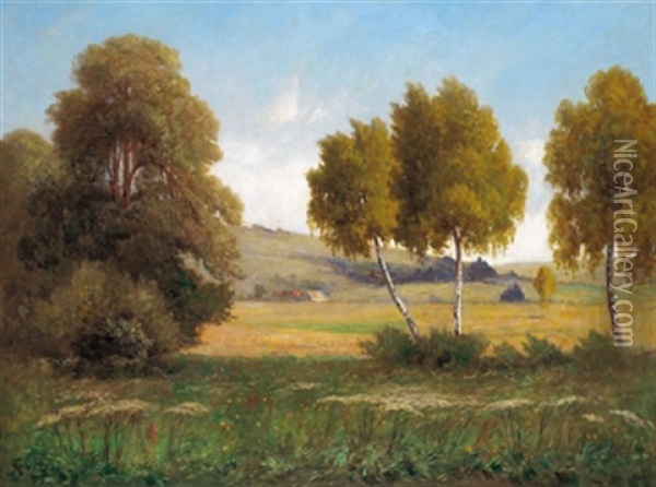 Aulandschaft Mit Birken Oil Painting - Franz Reder-Broili