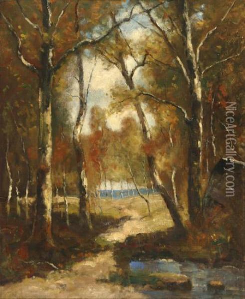 A Woodland Pool Oil Painting - Max Weyl