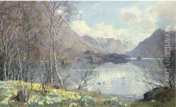Wild Daffodils, Ullswater Oil Painting - Alfred Heaton Cooper