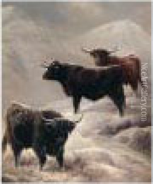 Highland Cattle On The Hills Oil Painting - Charles Jones
