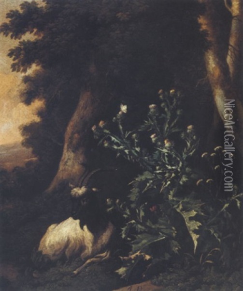 Wooded Landscape With Thistles And A Goat Oil Painting - Abraham Jansz. Begeyn