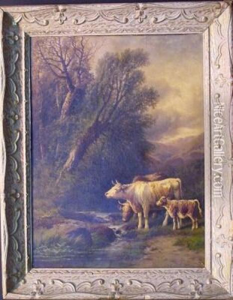 Cows Watering At A Stream Oil Painting - William Murdoch Macgill