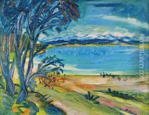 Jezioro Bodenskie Oil Painting - Flaig Waldemar