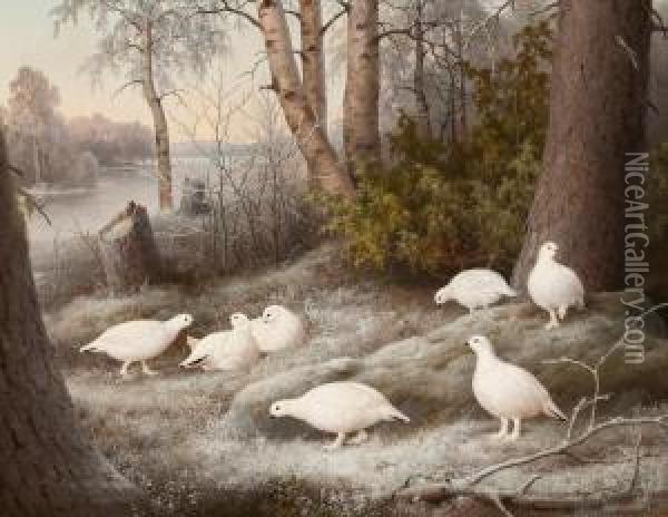 A Bevy Of Ptarmigans By The River Oil Painting - Ferdinand Wilhelm Von Wright