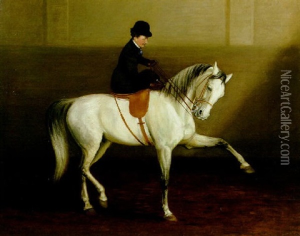 The Morning Lesson - A Lady On Her Grey Horse Oil Painting - Alexander Pope