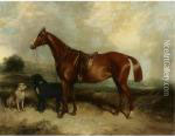 A Chestnut Horse And Two Dogs In A Landscape Oil Painting - George Armfield
