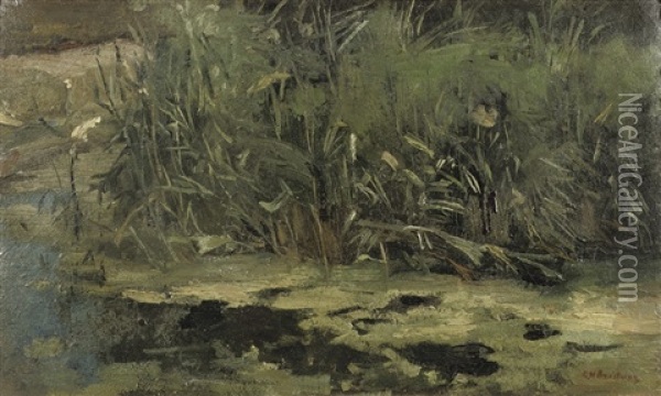 In T Riet; Reed At The Riverbank Oil Painting - George Hendrik Breitner
