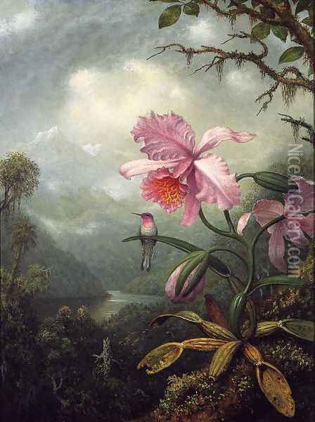 Hummingbird Perched On An Orchid Plant Oil Painting - Martin Johnson Heade