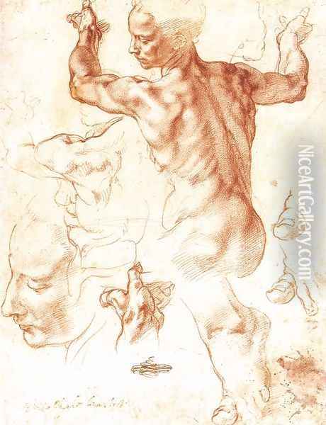 Study for the Libyan Sibyl 1511 Oil Painting - Michelangelo Buonarroti