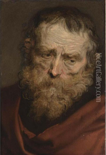 A Study Of A Bearded Man Oil Painting - Sir Anthony Van Dyck