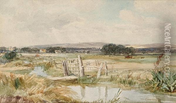 Broadwater, Near Hastings Oil Painting - Claude Hayes