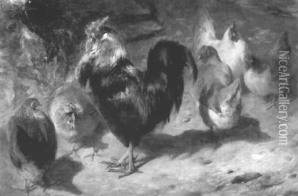 Cockerel And Chickens In A Farmyard Oil Painting - William Huggins