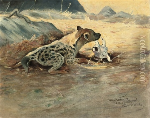 A Hyena On The African Plains Oil Painting - Wilhelm Friedrich Kuhnert
