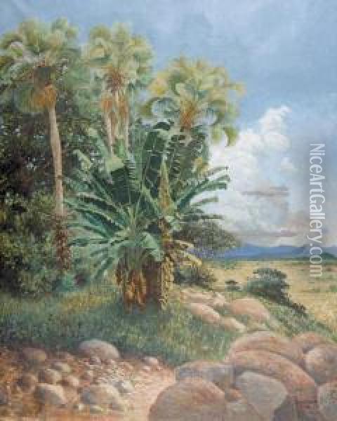 Afrikanische Landschaft. Oil Painting - Paul Reichard