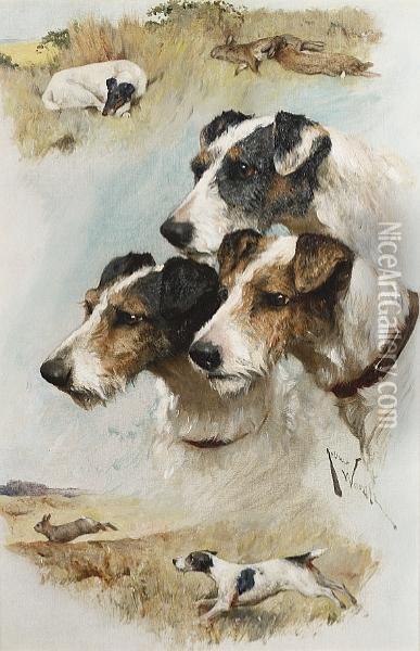 Study Of Terriers Oil Painting - Arthur Wardle