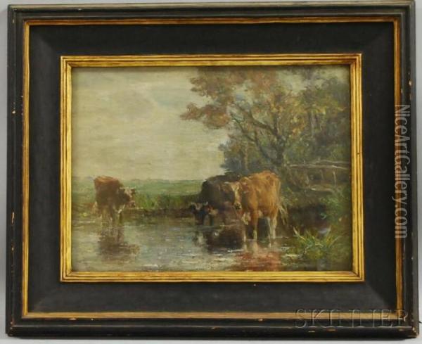 Cows Watering. Oil Painting - Charles Franklin Pierce
