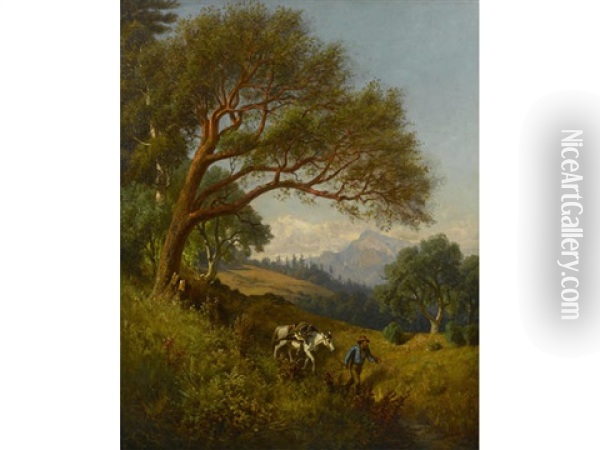 Traveler In The Woods Oil Painting - Virgil Williams