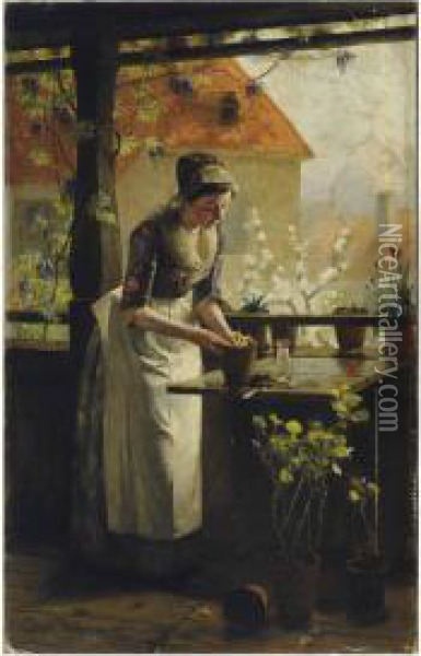 Woman Tending To Her Plants Oil Painting - Henrik Nordenberg