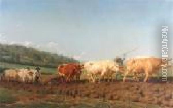 Oxen Working In The Fields Oil Painting - Isidore Jules Bonheur