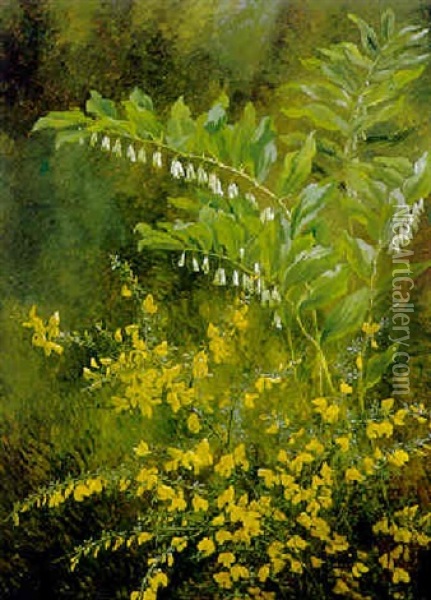 Sonnig Beleuchtete Fruhlingsbluten Oil Painting - Anthonie Eleonore (Anthonore) Christensen