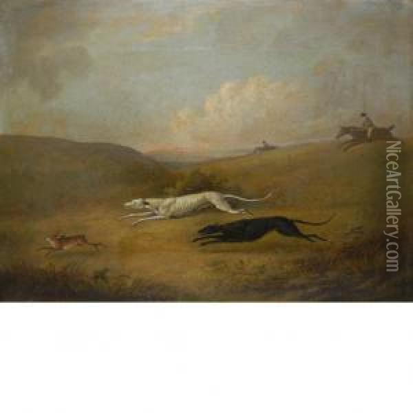 Robert Poole's Greyhounds Pigeon And Polecat Chasing A Hare Oil Painting - Dean Wolstenholme, Snr.