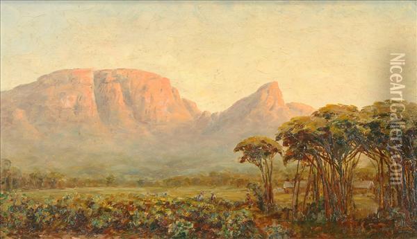 Devils Peak, Cape Town, South Africa Oil Painting - Edward C. Churchill Mace
